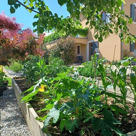 Appartement Entre Sisteron Et Gorges De La Meouge " Les Hauts De Toscane " Ribiers Eksteriør billede
