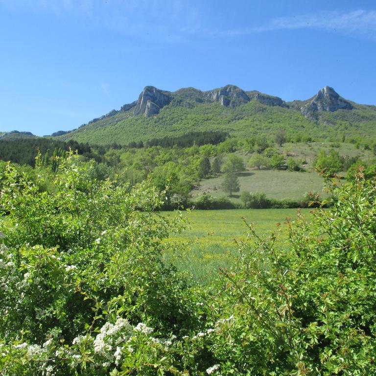 Appartement Entre Sisteron Et Gorges De La Meouge " Les Hauts De Toscane " Ribiers Eksteriør billede